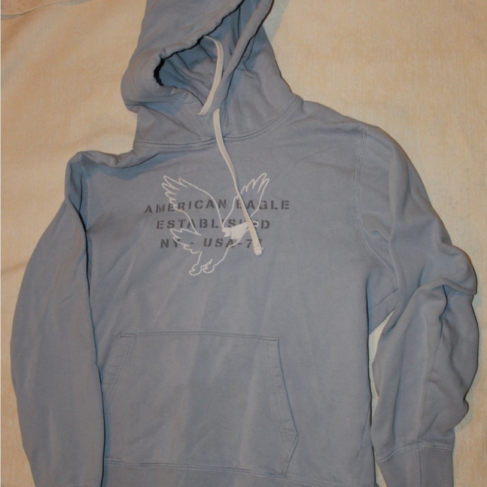 American Eagle Outfitters Light Blue Hoodie